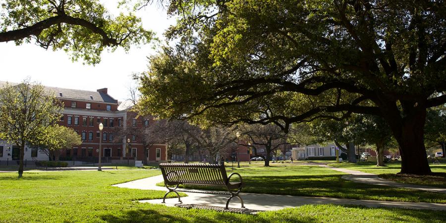 Trees and a grassy area on the Baylor campus